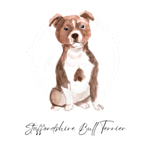 Bull Terrier Watercolor