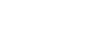 Delfina the designer white logo