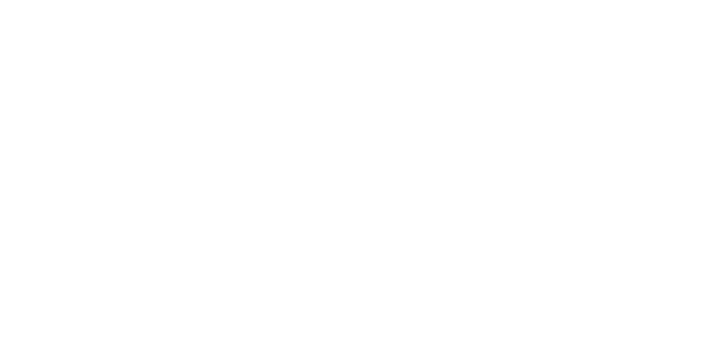 Delfina the designer logo 2025