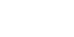 Delfina the designer logo 2025