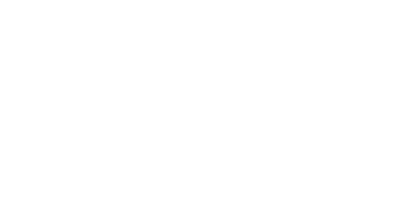 Delfina the designer logo 2025