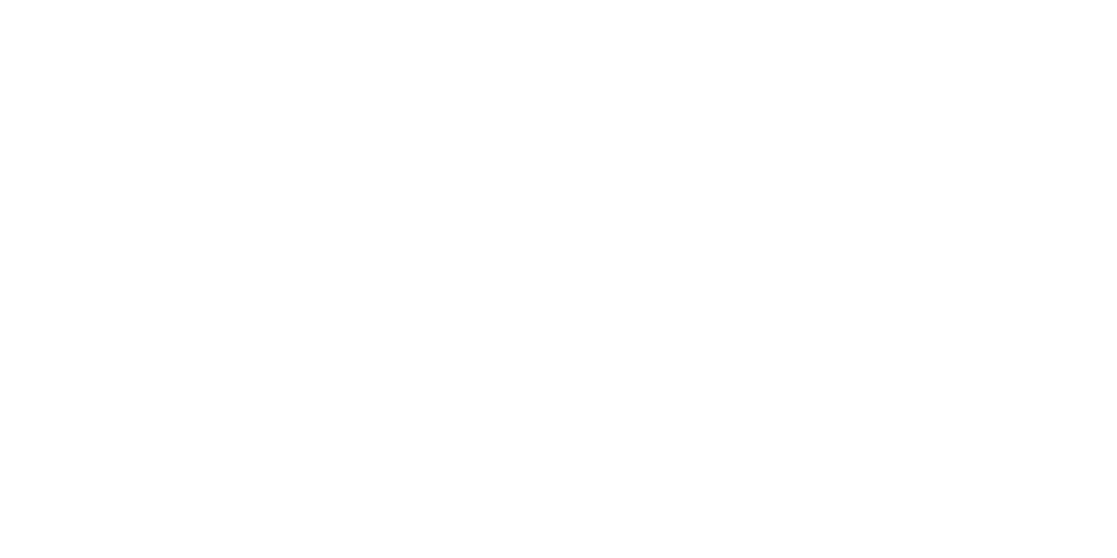 Delfina the designer logo 2025