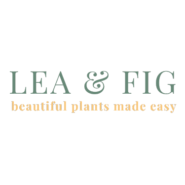 leaandfig
