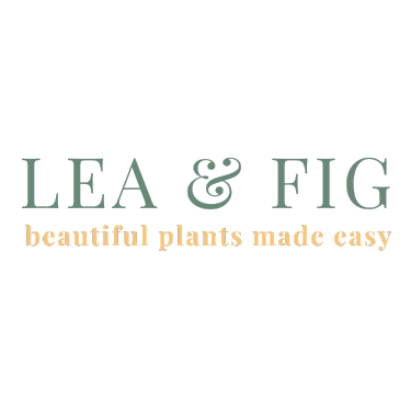 leaandfig